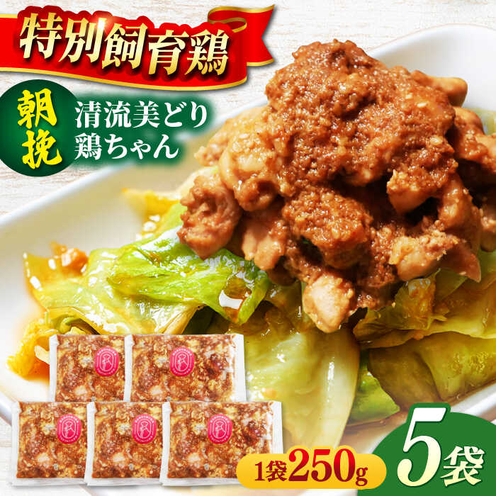 【ふるさと納税】鶏肉 朝挽き 清流美どり 鶏ちゃん 250g×5P 鶏肉 若鶏 お肉 人気 5パック 5袋 セット 詰め合わせ 大容量 けいちゃん 鶏もも肉 奥美濃古地鶏 皮 秘伝のタレ 味付き 冷凍 BBQ バーベキュー ギフト 肉 にく 鶏 鳥 とり とり肉 岐阜市/若鶏の春近[ANDL006] 10,360円