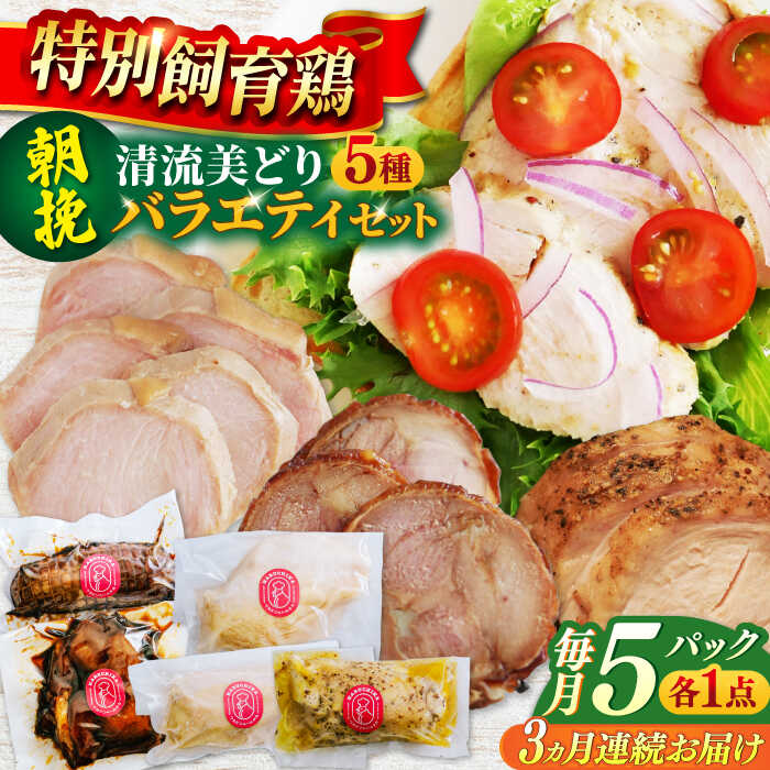 【ふるさと納税】【3回定期便】 鶏肉 朝挽き 清流美どり バラエティ5点セット 鶏肉 若鶏 お肉 ディナー おかず ダイエット 筋トレ 岐阜 ギフト 人気 3ヶ月 定期便 詰め合わせ セット 鶏チャーシュー 照り焼き サラダチキン 燻製 プレーン 岐阜市 / 若鶏の春近[ANDL012]