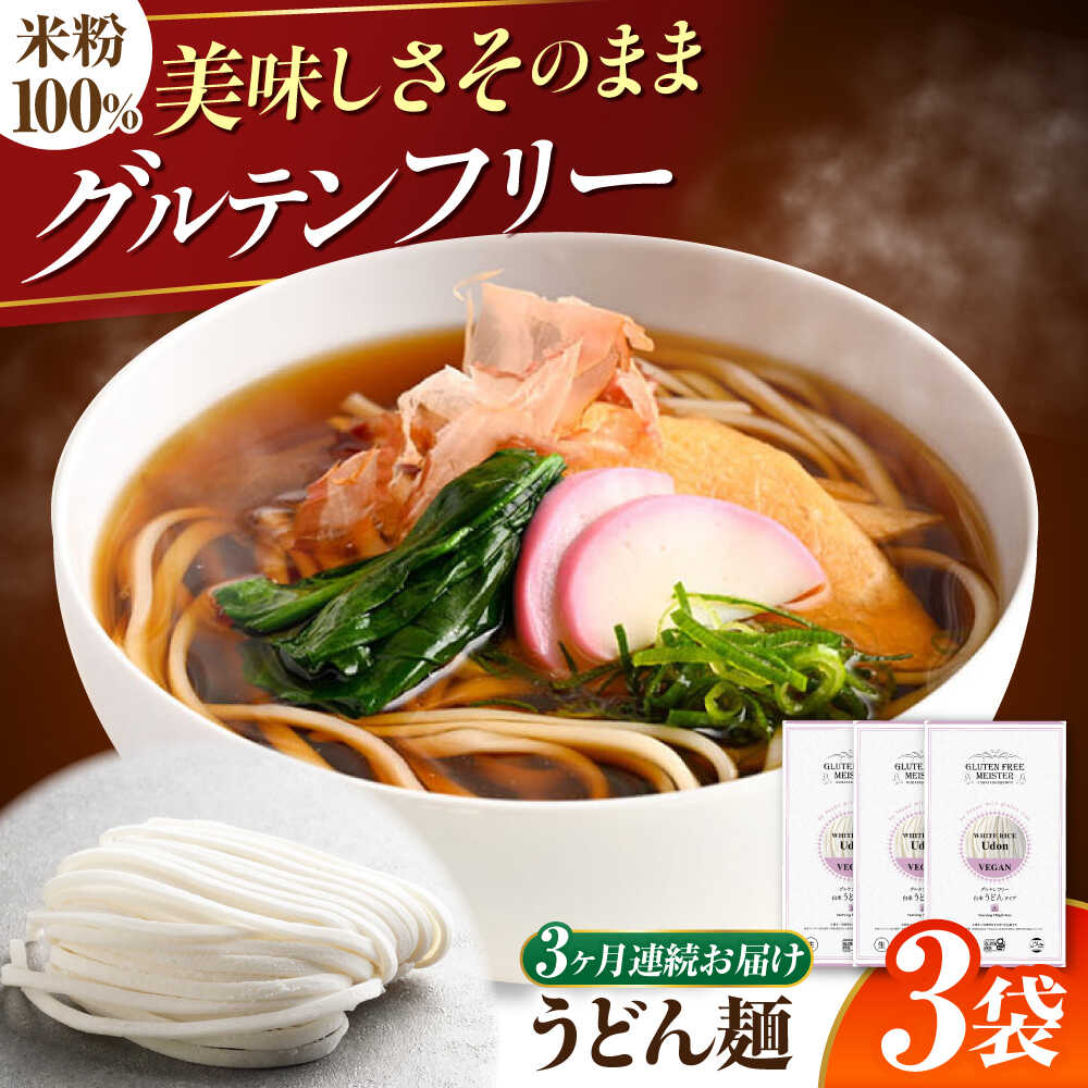 【ふるさと納税】【3回定期便】 【グルテンフリー】 力強いコシを楽しむ！ 米粉うどん うどん グルテンフリー 米粉 岐阜市 / 小林生麺[ANGM022]