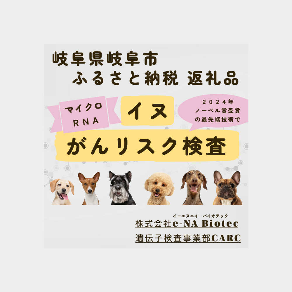 【令和8年8月8日執り行なう】ぎふ長良川火工品市民大会