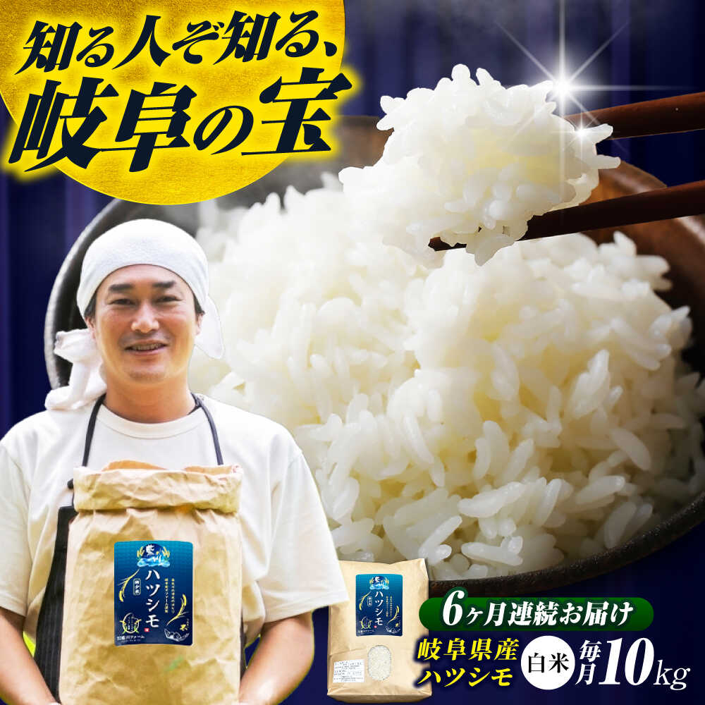 【ふるさと納税】【6回定期便】【令和7年度産】岐阜県産米ハツシモ「藍の燈」10kg ハツシモ はしつも 白米 精米 米 こめ ごはん コメ 10kg 10キロ 定期 定期便 米定期便 岐阜市 / 藍川ファーム [ANHI006]｜岐阜県岐阜市 101,750円