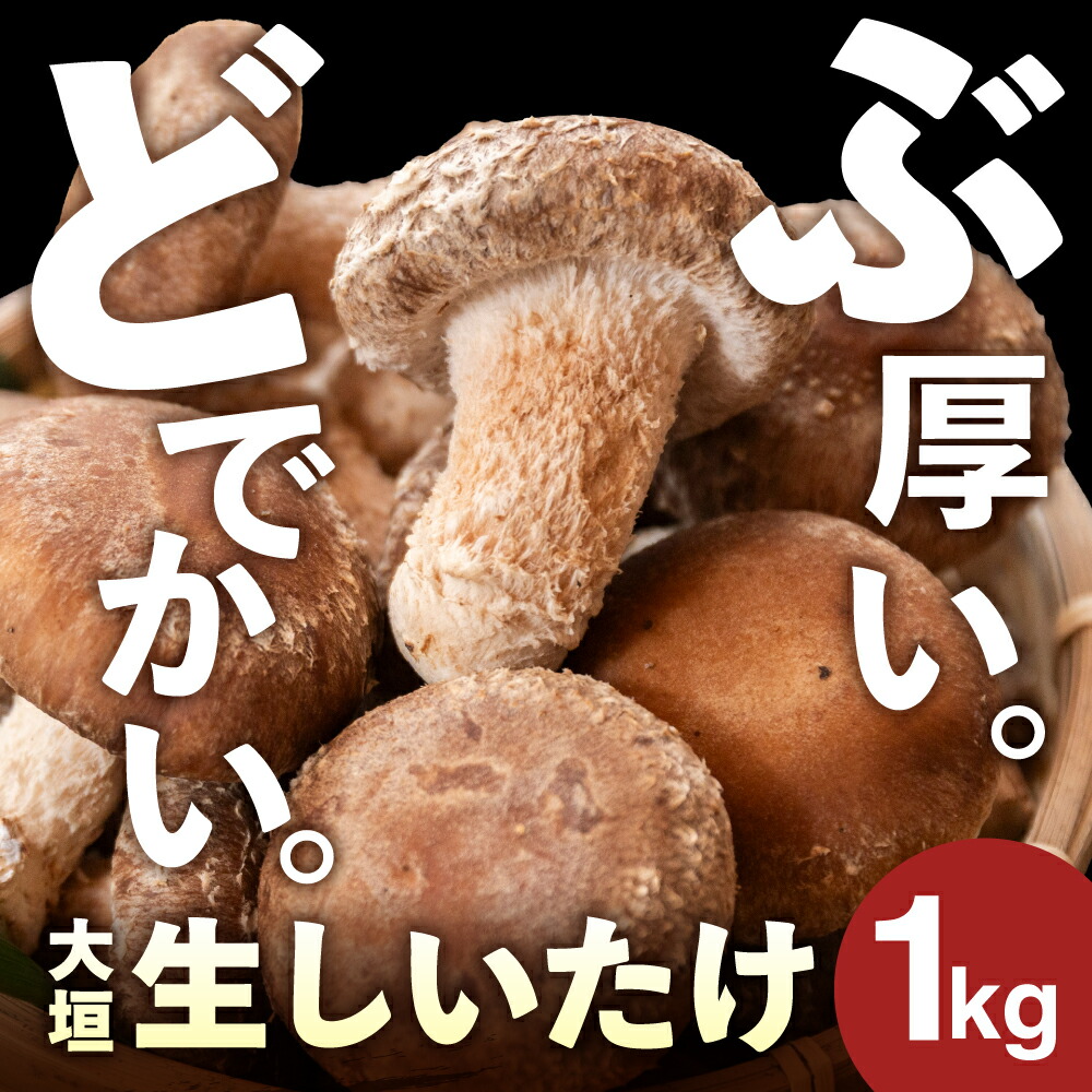【ふるさと納税】＼分厚い どでかい。／肉厚生しいたけ 1kg 大垣椎茸 肉厚 ジューシー 1000g 生しいたけ 栽培期間中 農薬不使用 新鮮 産地直送 産直 国産 野菜 きのこ 茸 キノコ しいたけ 野菜 どんこ 鍋 焼き椎茸 煮物 10000円 1万円 ベジファーム ゼロックス 岐阜県 大垣市