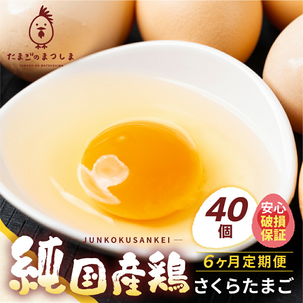【ふるさと納税】【定期便6ヶ月】新鮮 特選 さくらたまご 40個 6ヶ月 パック数 回数 6回 新鮮な卵 (発送当日・または前日に採れた卵) 純国産鶏 里山 たまご タマゴ 卵 玉子 にわとり 鶏 保証付 安心 安全 対応 破損 割れ保障 60000円 6万円 松島飼料店 岐阜県 大垣市｜岐阜県大垣市