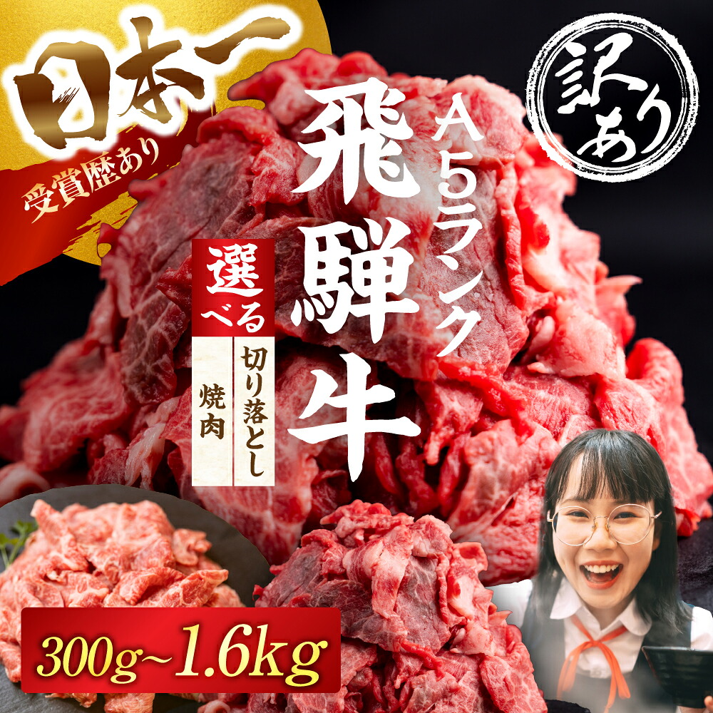 【ふるさと納税】≪選べる 訳あり≫ 飛騨牛 A5 切り落とし 焼肉 300g ～ 1.6kg 選べる 定期便 牛肉 肉 飛騨牛 A5 A5ランク A5等級 部位おまかせ 厳選部位 おまかせ お任せ 切り落とし 焼肉 焼き肉 BBQ 冷凍 美味しい おいしい 最高級 10000円 1万円 中部ミート 岐阜県 大垣市｜岐阜県大垣市 7,800円