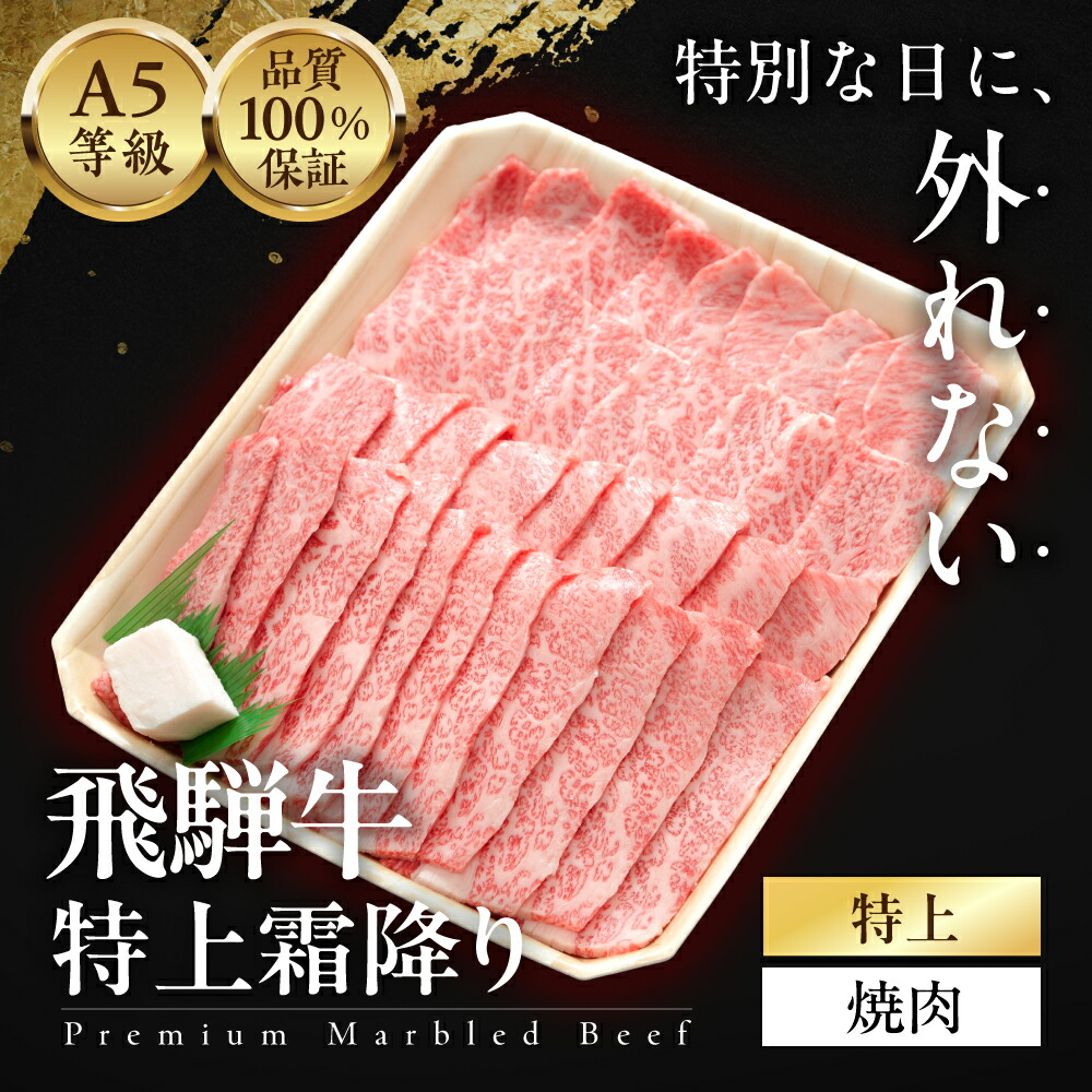 【ふるさと納税】≪品質100%保証≫ A5等級 飛騨牛 特上 霜降り焼肉 1kg/ 500g/ 300g 雌牛 メス牛 焼肉 和牛 A5 牛肉 国産牛 霜降り 高級肉 ギフト 贈答用 お歳暮 お中元 内祝い 誕生日