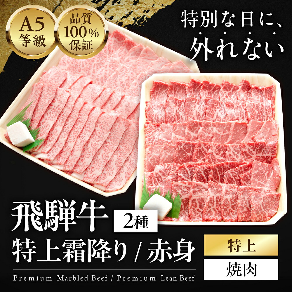 【ふるさと納税】≪品質100%保証≫ A5等級 飛騨牛 特上　霜降り・赤身焼肉　1kg(500g×2) / 600g(300g×2) 焼肉 雌牛 メス牛 和牛 A5 牛肉 国産牛 霜降り 赤身 食べ比べ 高級肉 ギフト 贈答用 お歳暮 お中元 内祝い 誕生日