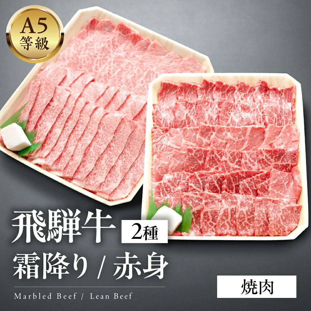 【ふるさと納税】 A5等級 飛騨牛　霜降り・赤身焼肉　1kg(500g×2) / 600g(300g×2) 焼肉 雌牛 メス牛 和牛 A5 牛肉 国産牛 霜降り 赤身 食べ比べ 高級肉 ギフト 贈答用 お歳暮 お中元 内祝い 誕生日 33,800円