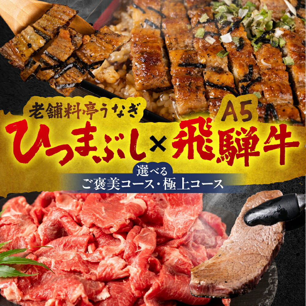 【ふるさと納税】老舗料亭うなぎ × A5飛騨牛 ≪選べる≫ ご褒美 極上 飛騨牛 A5 A5ランク A5等級 切り落とし ヒレ ステーキ うなぎ unagi ひつまぶし 国産 長焼 蒲焼 うな牛 冷凍 冷蔵 プレゼント ギフト 20000円 2万円 60000円 6万円 中部ミート 玉辰楼 岐阜県 大垣市|岐阜県大垣市