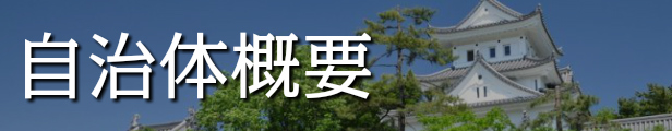 楽天市場】【ふるさと納税】生餃子専門店「新家」の生餃子 元気がモリモリ100個セット 冷凍餃子 簡単調理 国内産材料使用 : 岐阜県大垣市