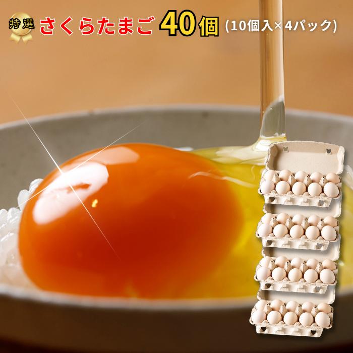 【ふるさと納税】特選　さくらたまご　40個（10個入×４パック）　新鮮な卵(発送当日・または前日に採れた卵)をお届けします