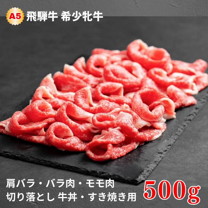 【ふるさと納税】 飛騨牛 切り落とし 500g メス牛 訳あり 不揃い 最高A5等級 肩バラ/ バラ肉 / モモ肉 牛丼 すき焼き 飛騨牛 牛肉 肉 黒毛和牛 希少部位 国産 厳選 ブランド牛 お取り寄せ 高級 岐阜県 大垣市