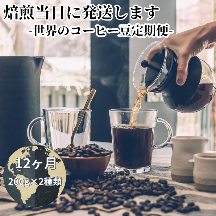 【ふるさと納税】 【定期便12ヶ月】世界を旅するコーヒー 苦いのは苦手・深煎り抜き 200g×2袋(2種類合計400g) 挽きたて 珈琲 自家焙煎 焙煎幸房”そら”〔700-031t-c〕岐阜県 大垣市