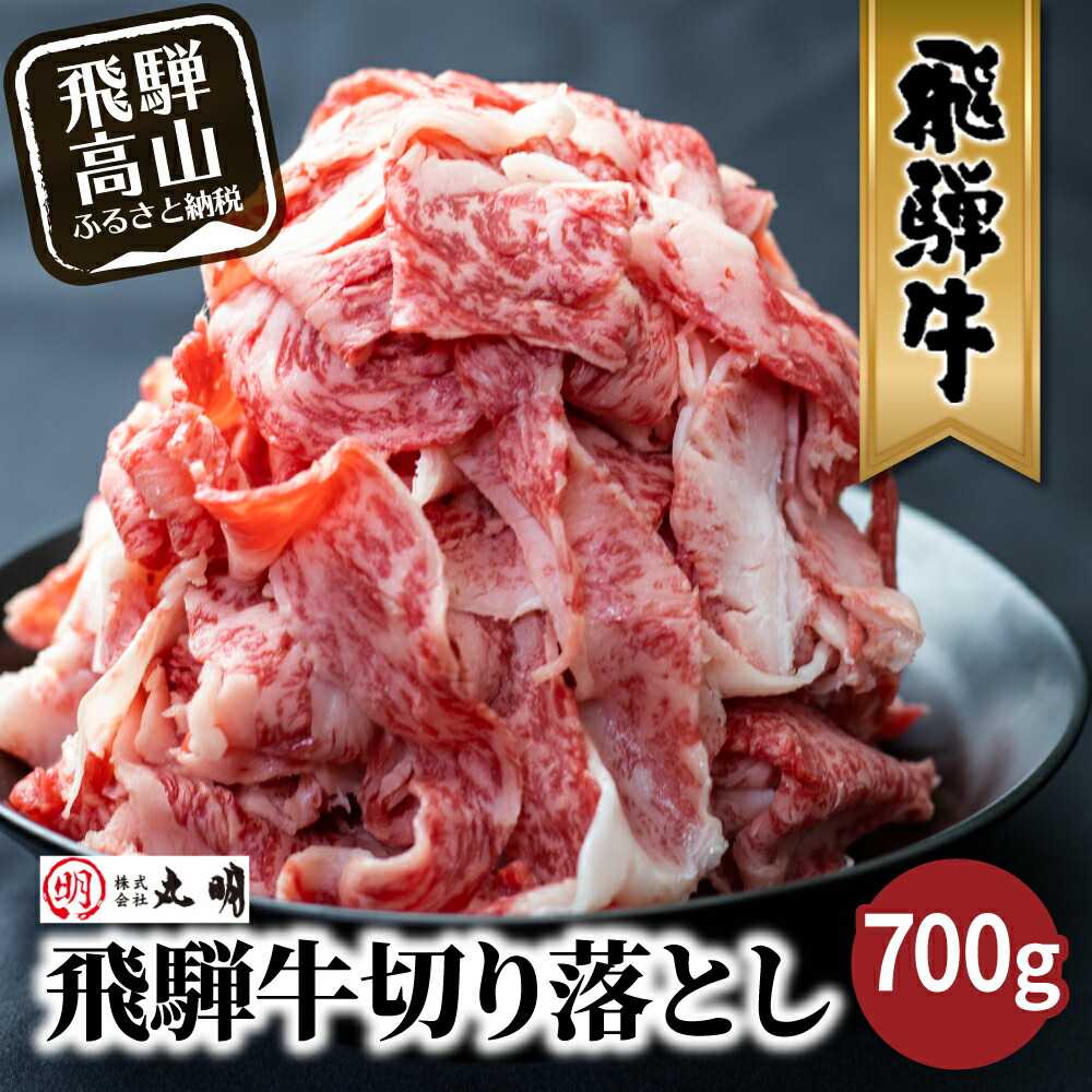 日本最級 ふるさと納税 大垣市 A5飛騨牛 すき焼き しゃぶしゃぶ用 厳選部位約400g 木立ミート