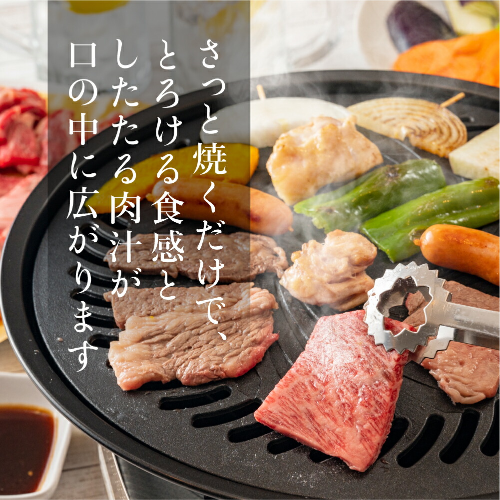 早い者勝ち 飛騨牛 みすじ ウデ 焼肉 400g 盛り合わせ 赤身 霜降り 焼き肉 牛 黒毛和牛 国産牛 牛肉 肉 飛騨高山 ブランド牛 高級 ギフト お中元 お歳暮 q バーベキュー 飛騨牛のこもり Tr3317 Gefert Com Br