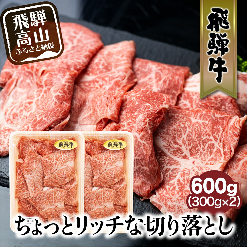 飛騨牛 切り落とし みすじ ウデ 希少部位 すきやき しゃぶしゃぶ 300g×2パック 600g 和牛 牛肉 すき焼き 訳あり 不揃い 赤身 高級肉  飛騨高山 高山市 御歳暮 お歳暮 高級 ギフト TR3448 20000円 2万円 二万円 【お1人様1点限り】