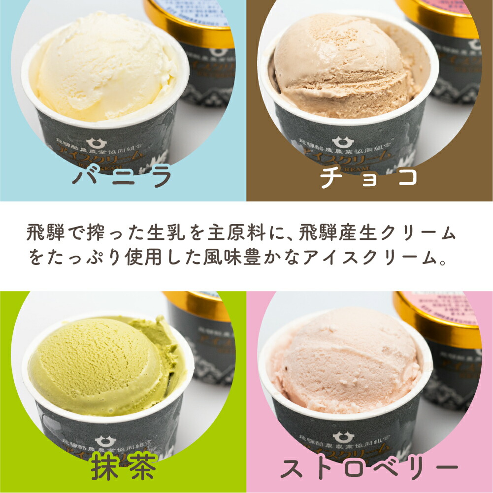 ふるさと納税 飛騨牛乳 アイス アイスクリーム 12個入り スイーツ 夏 ギフト 熨斗対応 のし対応 熨斗 のし 飛騨産 飛騨高山 Haccp 乳製品 おやつ バニラ チョコ 抹茶 ストロベリー イチゴ Tr3125 Mavipconstrutora Com Br