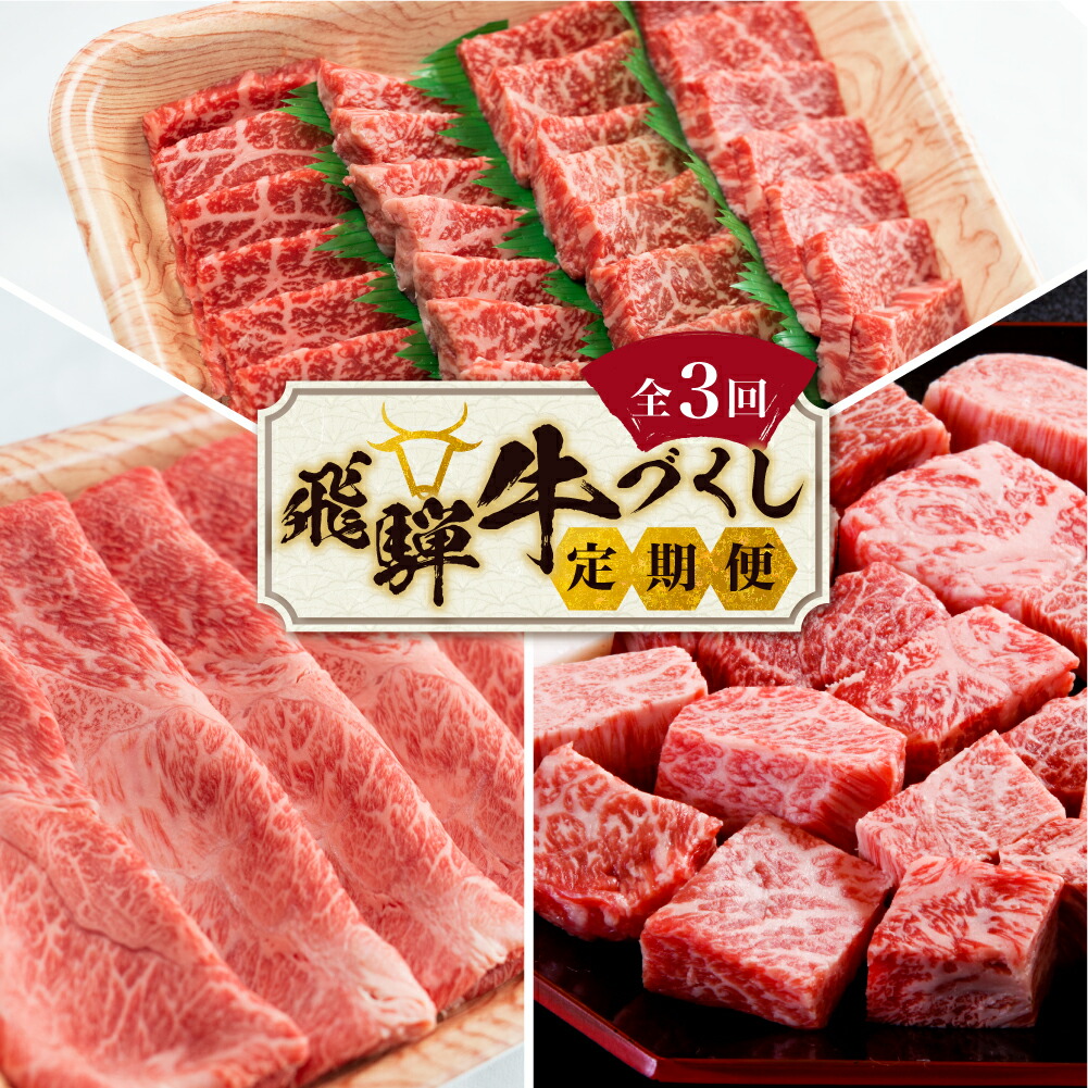 厳選 じゅわっと柔らかい 飛騨牛 国産 和牛 焼肉用 MBE041 6種食べ比べセット≪土岐市≫ 牛肉