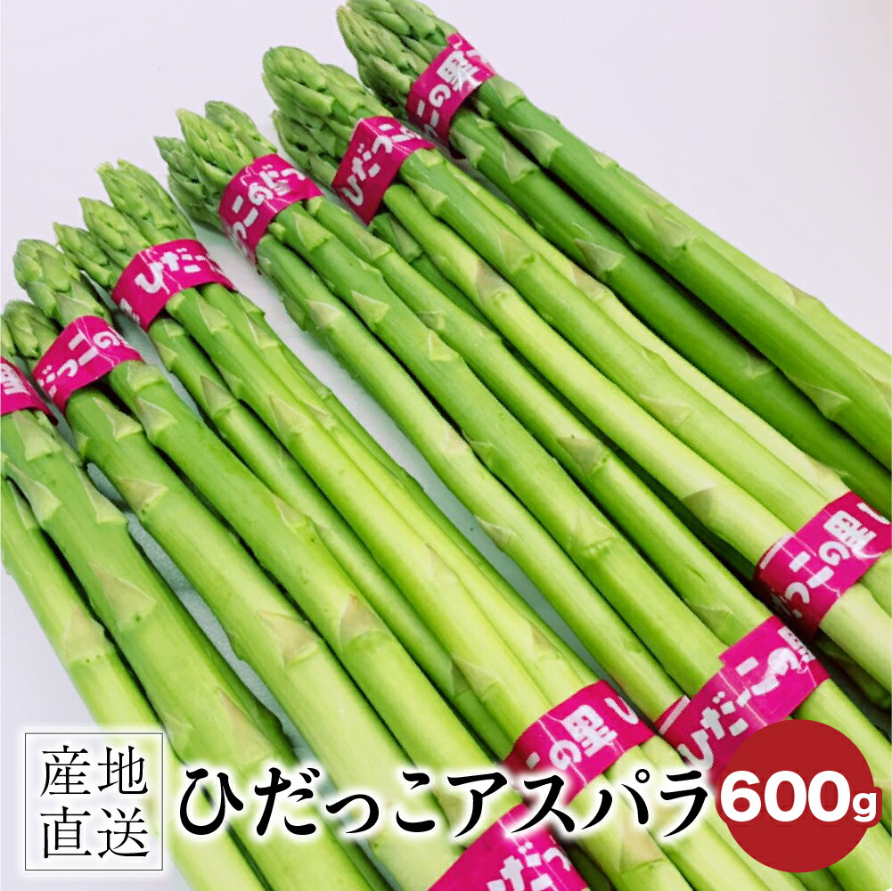 ふるさと納税 ひだっこ 野菜 アスパラガス 600g アスパラ グリーンアスパラガス 飛騨産