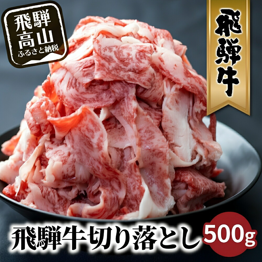 【ふるさと納税】飛騨牛 訳あり 切り落とし500g 牛肉 飛騨牛 切り落とし 肉 国産牛 わけあり 訳あり ワケアリ 小間切れ 薄切り [LR011] 10000円 1万円 丸明｜岐阜県高山市