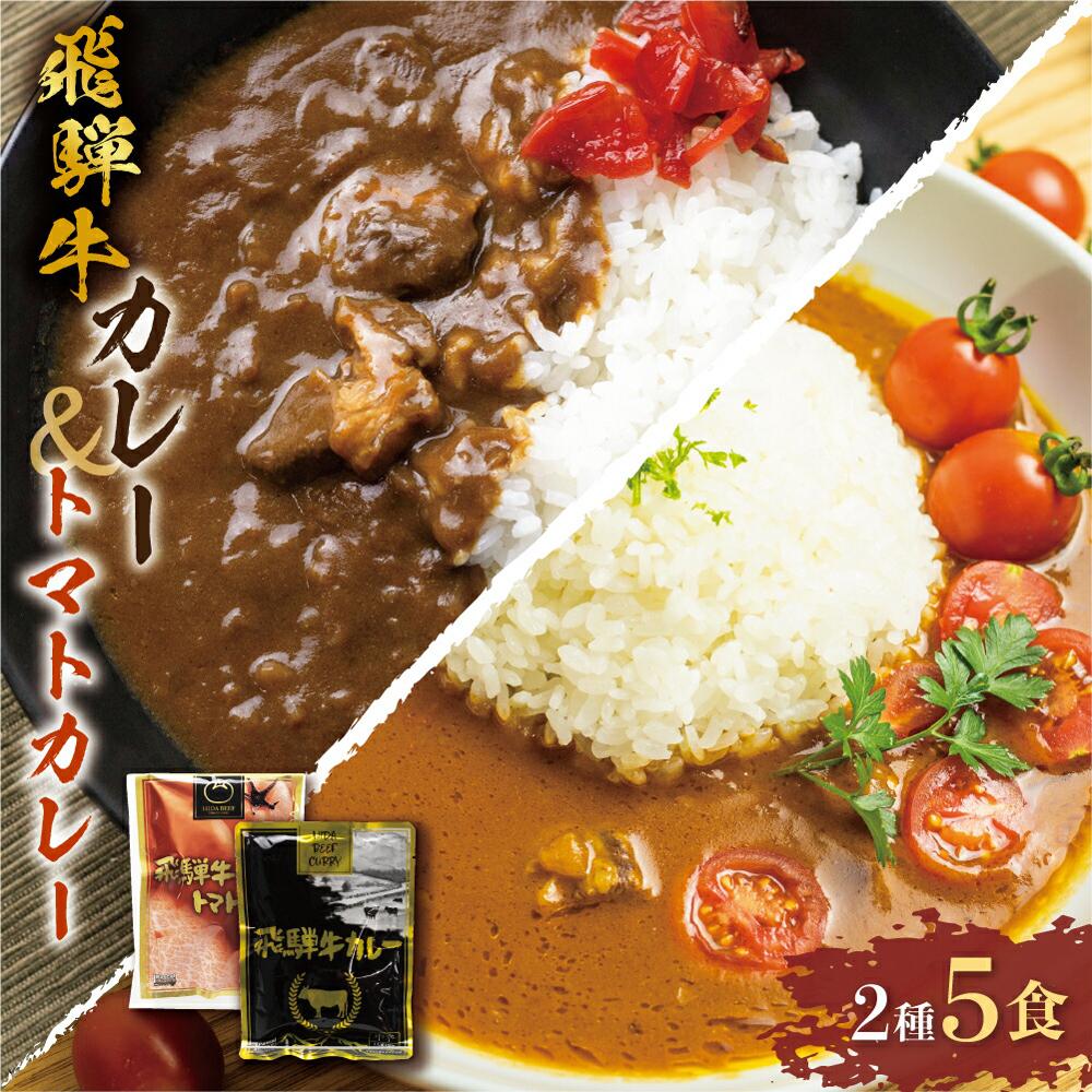【ふるさと納税】【発送時期が選べる】飛騨牛カレー (3袋) 飛騨牛トマトカレー (2袋)  計5食  | 訳あり 飛騨牛 肉 牛 カレー ビーフカレー 簡易包装 レトルトカレー トマトカレー ご当地カレー 人気 おすすめ 便利 飛騨高山 ふるさと清見 DC003VP