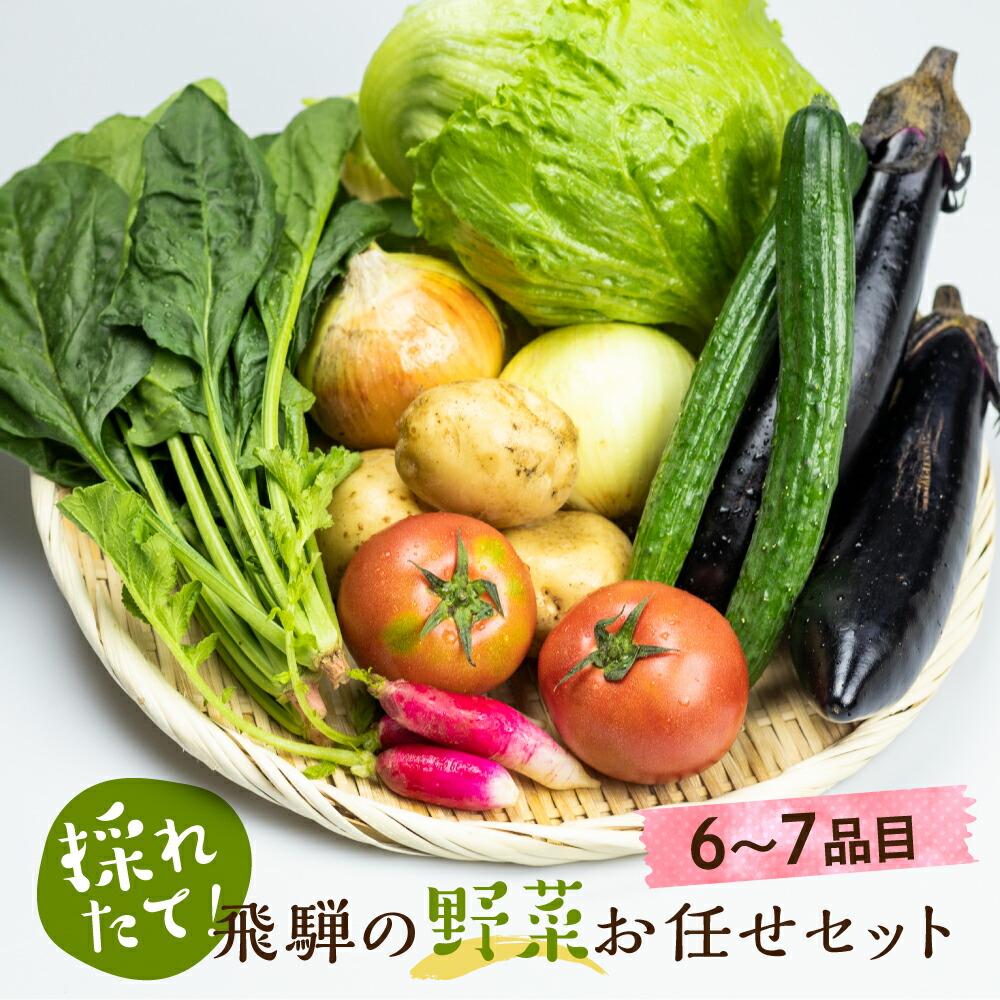 【ふるさと納税】【2025年予約受付】（2025年4月中旬～順次発送予定）飛騨の野菜お任せセット 6～7品目 |  セット 野菜 夏野菜 秋野菜 おまかせ お取り寄せ 新鮮 産地直送 飛騨産 夏 秋 サラダ 飛騨高山 あじかファミリー GN002
