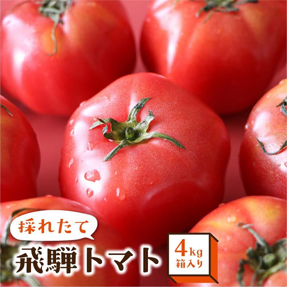 【ふるさと納税】【8月頃～順次お届け】一級品 採れたて 飛騨 トマト 4kg 箱入り | とまと 大玉トマト サイズお任せ 産地直送 野菜 やさい 期間限定 飛騨高山 宿儺さま KA008