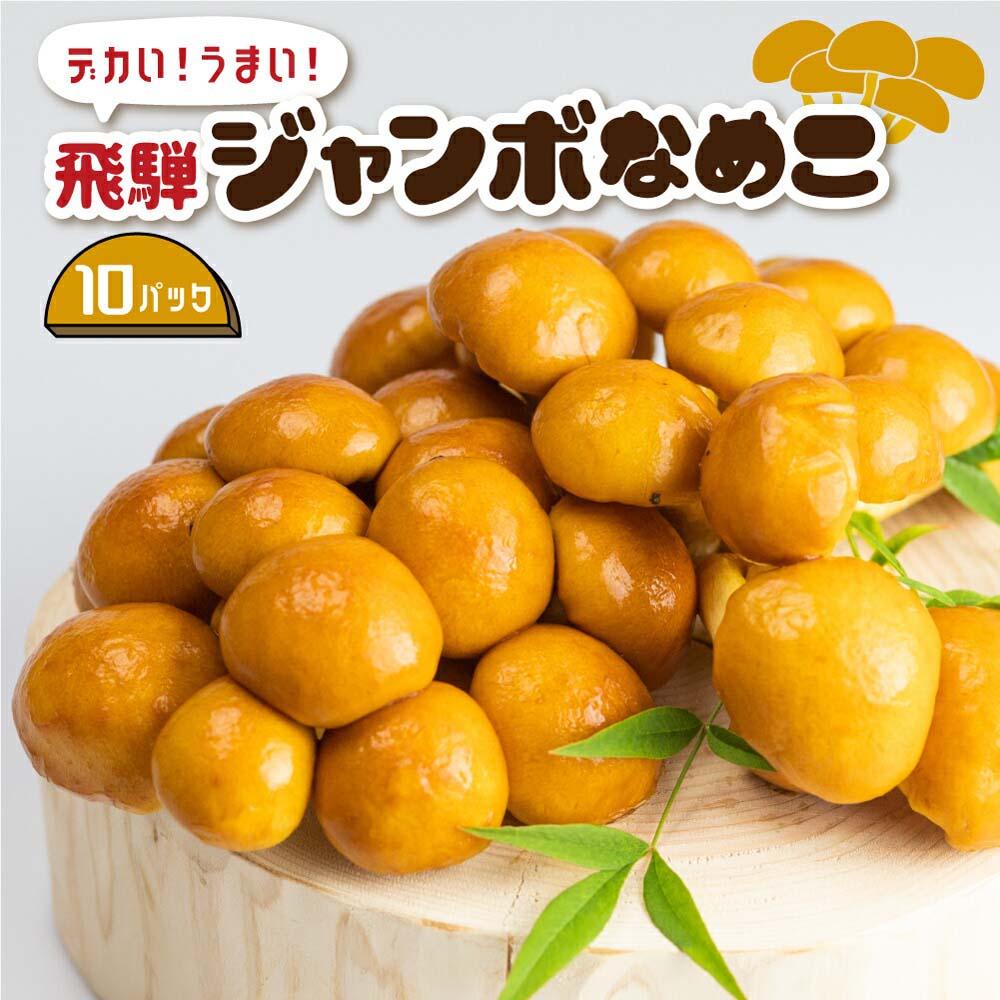 【ふるさと納税】飛騨ジャンボなめこ約180g×10パック入り 国産なめこ きのこ 生なめこ 大きい ジャンボサイズ なめ茸 希少 珍しい  鍋 日付指定可 なめこファーム  KN002