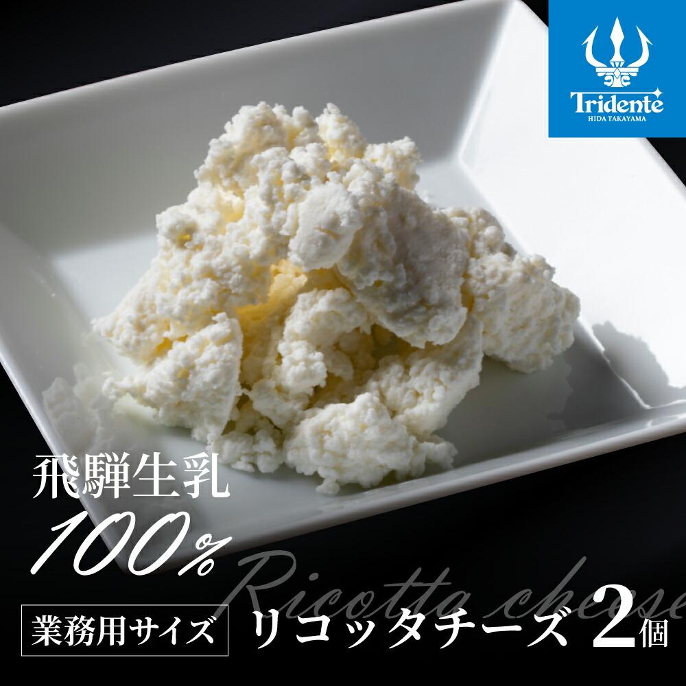 【ふるさと納税】飛騨生乳100％ リコッタチーズ 2個（1個250g）| リコッタ 冷蔵 サラダ お菓子 前菜 サラダ 新鮮 生乳 国産 低温殺菌 乳製品 無添加 大容量 業務用サイズ 飛騨高山 チーズ工房トリデンテ LF006