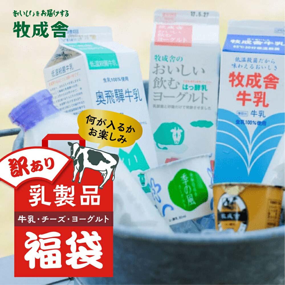 【ふるさと納税】『牧成舎』”何が届くかお楽しみ！”　訳あり乳製品福袋セット | 乳製品 福袋 牛乳 チーズ ヨーグルト 訳アリ 種類おまかせ 詰合せ 牧成舎 DF005