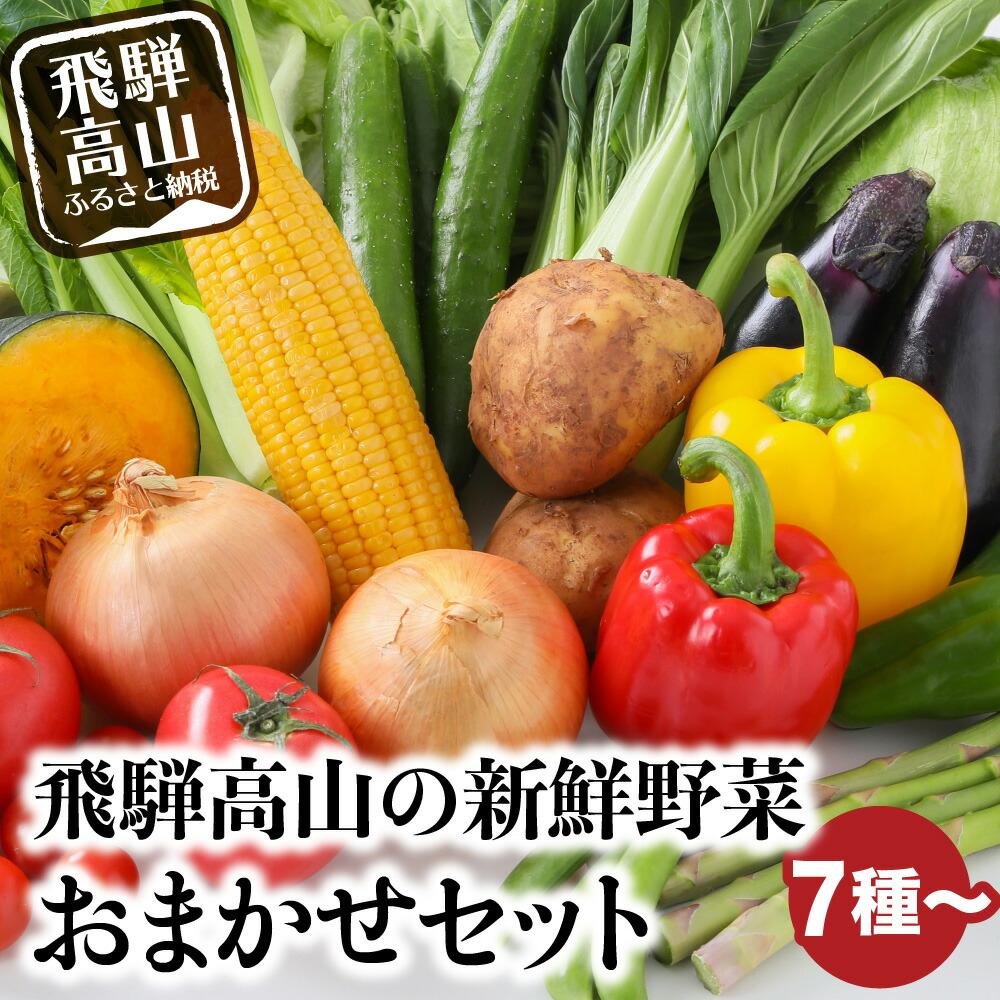 【ふるさと納税】【寄附額見直しました！】飛騨高山の新鮮野菜 おまかせセット | 野菜 おまかせ 詰め合わせ やさい 果物 くだもの ご当地 フルーツ 飛騨高山 まるっとプラザ BA007
