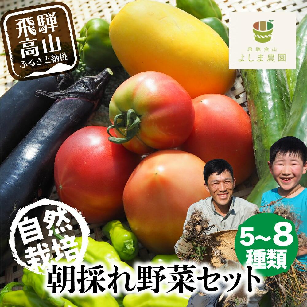 楽天市場】【ふるさと納税】【定期便6回】飛騨高山野菜『おおごっつぉ』詰合せ 葉物野菜 葉物 ミックスリーフ わさびな フラワーサラダ 無農薬野菜  無農薬 HS100 : 岐阜県高山市