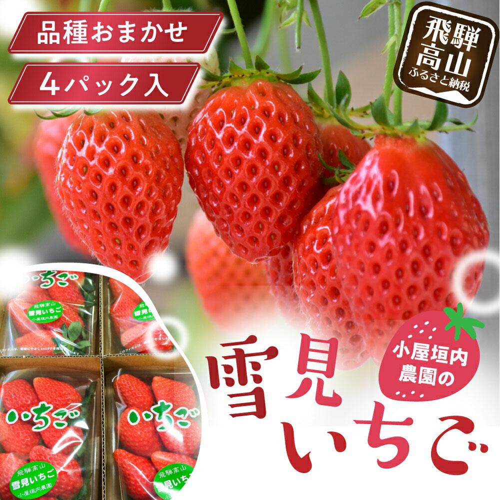 【ふるさと納税】【2026年先行予約】雪見いちご 約200g×4パック | 糖度が高くてほどよい酸味 数量限定 イチゴ フルーツ 果物 いちご 品種おまかせ（紅ほっぺ／紅かおり／山天王）飛騨高山 小屋垣内農園 JA002