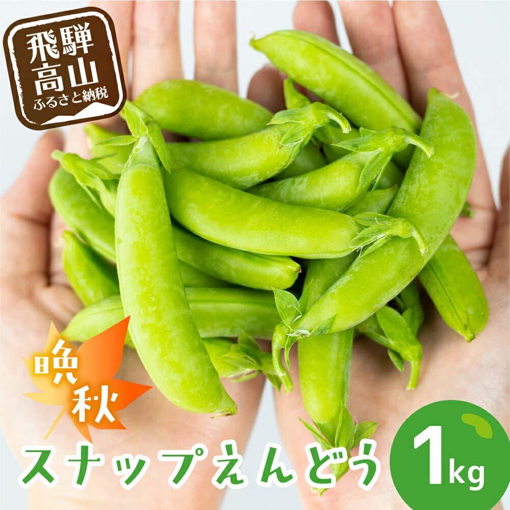 【ふるさと納税】【数量限定】≪10月頃より発送開始≫ 飛騨高山産 希少！晩秋すくなスナッピー1kg ( スナップえんどう ) | 野菜 旬 新鮮 産地直送 期間限定 飛騨 高山 エンドウ 豆 スナックエンドウ えんどう豆 秋野菜 飛騨高山 宿儺さま KA002