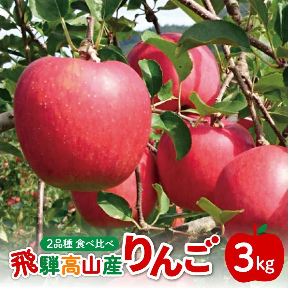 【ふるさと納税】【先行受付】飛騨りんご2種詰め合わせ 3kg | りんご 林檎 リンゴ 果物 フルーツ 産地直送 品種お任せ 日付指定不可 9月下旬～11月上旬頃順次発送 堤果樹園 KU001