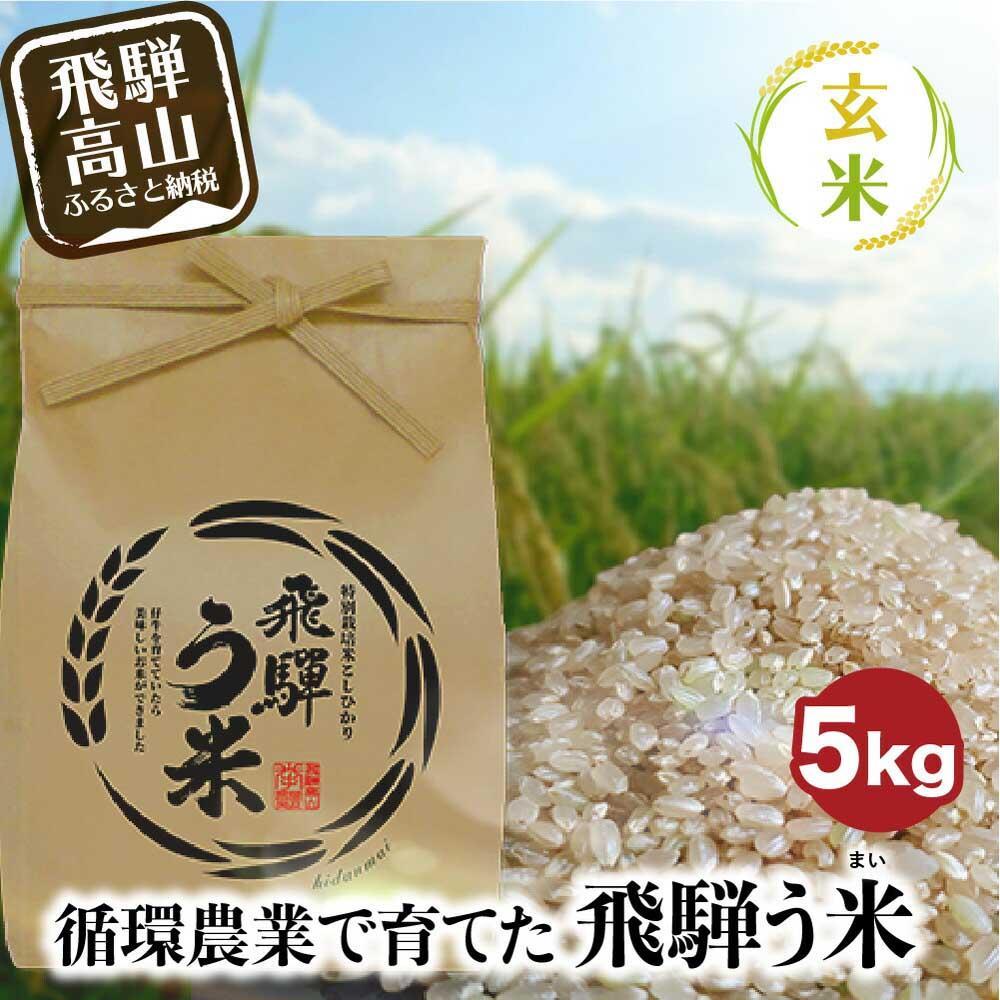 【ふるさと納税】【数量限定/先行受付】令和7年産 飛騨う米 玄米 5kg | 有機肥料100％ 米 お米 受賞米 米コン3年連続特別優秀賞受賞米 飛騨高山 株式会社拳 GW003