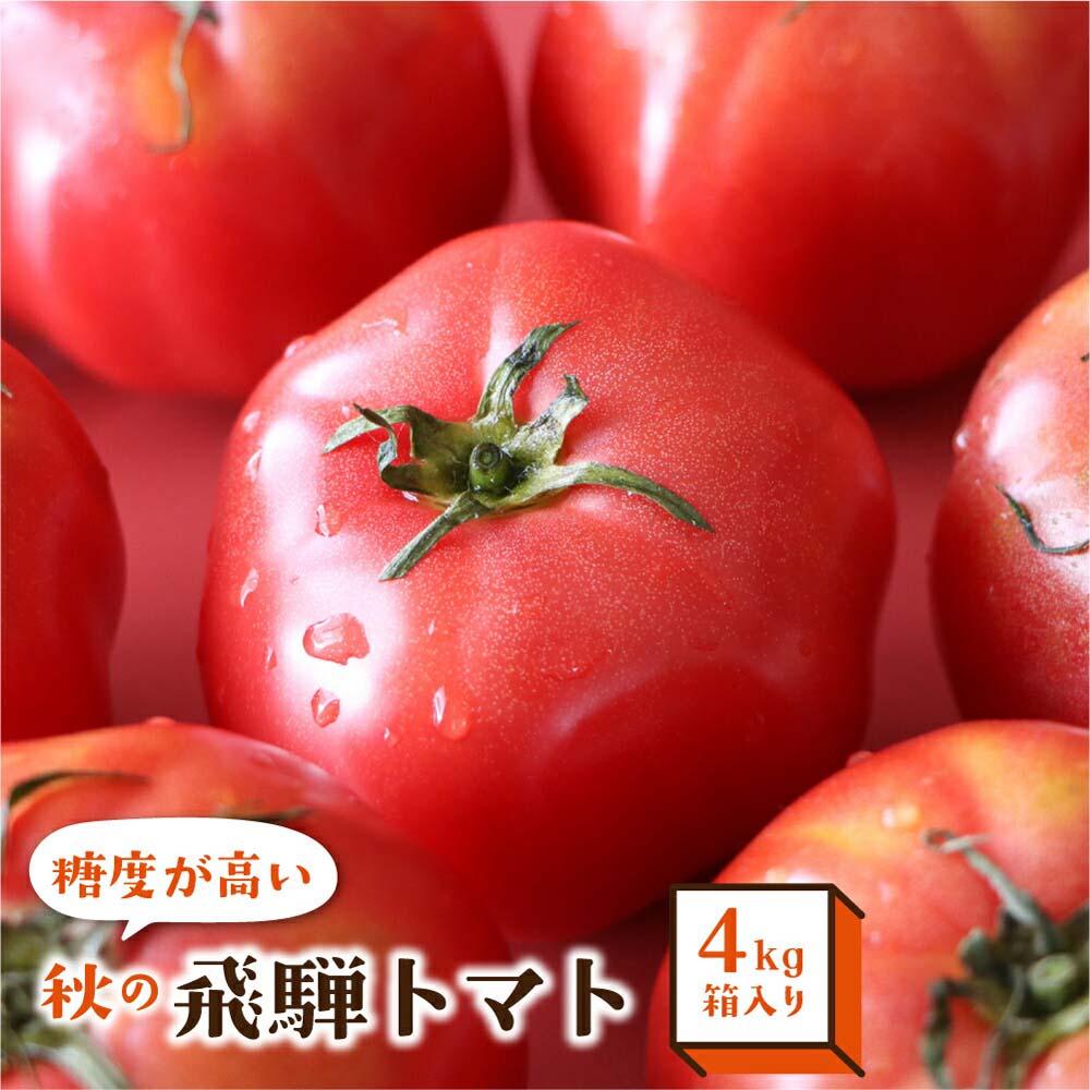 【ふるさと納税】【9月頃～順次発送】秋の濃い味 飛騨トマト 4kg | 大玉 トマト とまと 秋 野菜 期間限定 産地直送 野菜 飛騨高山 宿儺さま KA010