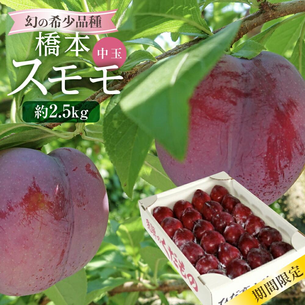 【ふるさと納税】【数量限定/先行予約】幻の希少品種 橋本スモモ 約2.5kg（35個前後入り）| 8月上旬～順次発送 中玉 すもも プラム 果物 フルーツ 甘酸っぱい 希少 産地直送 旬 飛騨高山 山本果樹園 MA004
