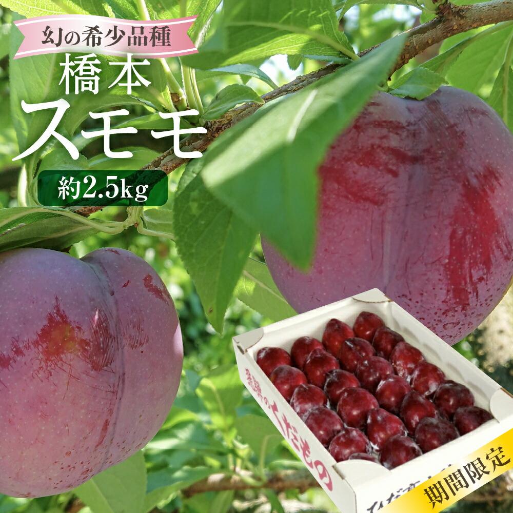 【ふるさと納税】【数量限定/先行予約】幻の希少品種 橋本スモモ 約2.5kg（大玉25個前後入り）| 8月上旬～順次発送 大玉 すもも プラム 果物 フルーツ 甘酸っぱい 希少 産地直送 旬 飛騨高山 山本果樹園 MA012