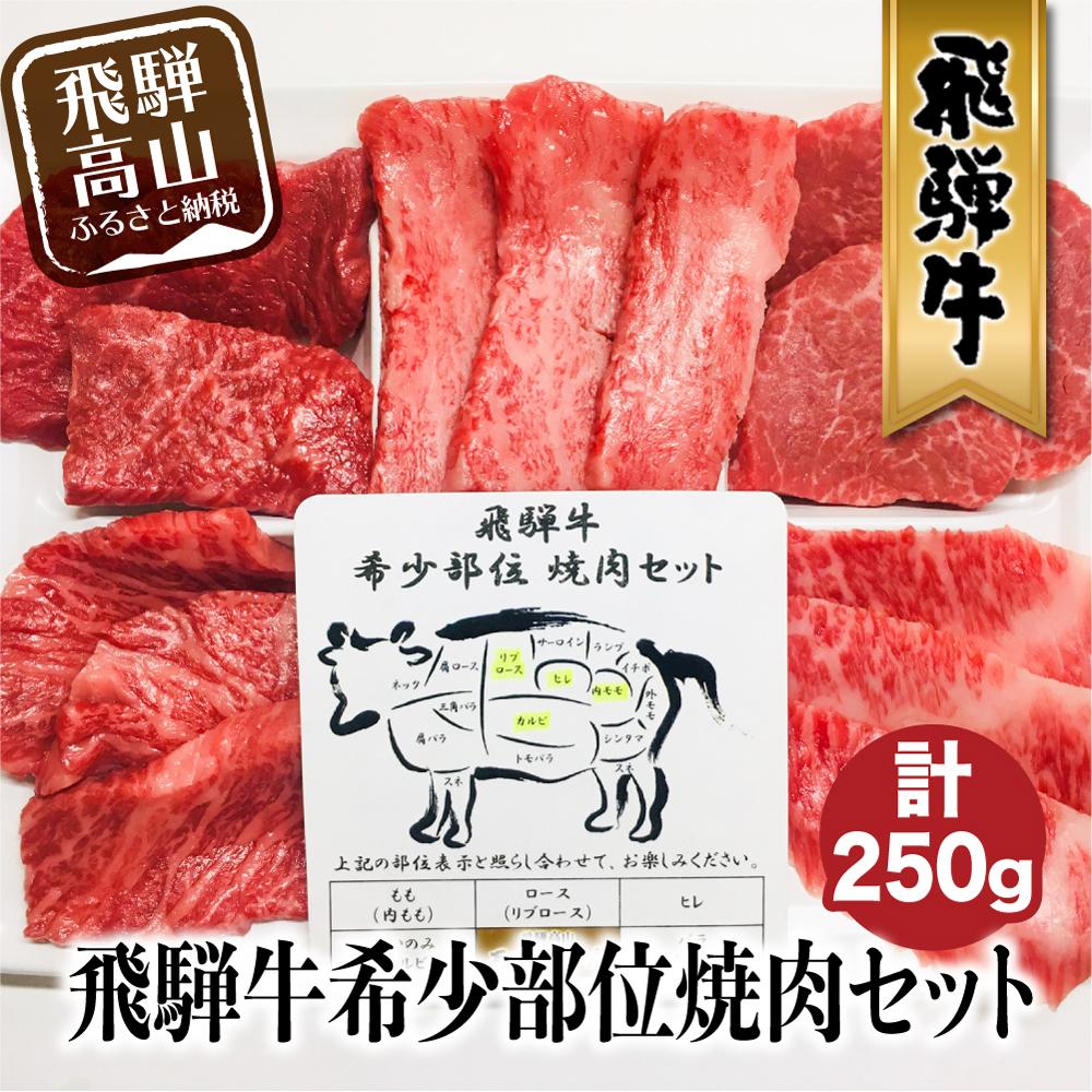 【ふるさと納税】A5等級 飛騨牛 希少部位 焼肉セット 250g 5種食べ比べ ( ヒレ / ロース / もも など ) | A5 肉 焼肉 和牛 ブランド牛 牛肉 黒毛和牛 食べ比べ 盛り合わせ 贈答 飛騨高山 天狗総本店 BP015