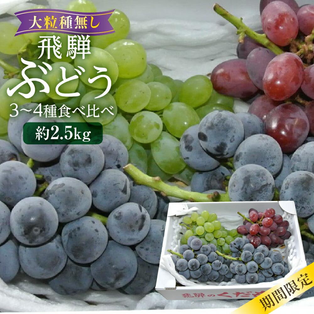 【ふるさと納税】【数量限定/先行予約】山本果樹園 季節の大粒種無しぶどう 詰め合わせ 約2.5kg（4房～5房）| 9月中旬～順次発送 果物 フルーツ おいしい ぶどう 種なし 飛騨高山 山本果樹園 MA014