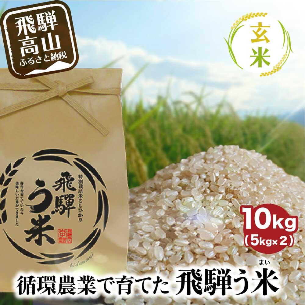 【ふるさと納税】【数量限定/先行受付】令和7年産 飛騨う米 玄米 10kg | 有機肥料 100％ 米 お米 受賞米 米コン3年連続特別優秀賞受賞米 飛騨高山 株式会社拳 GW004