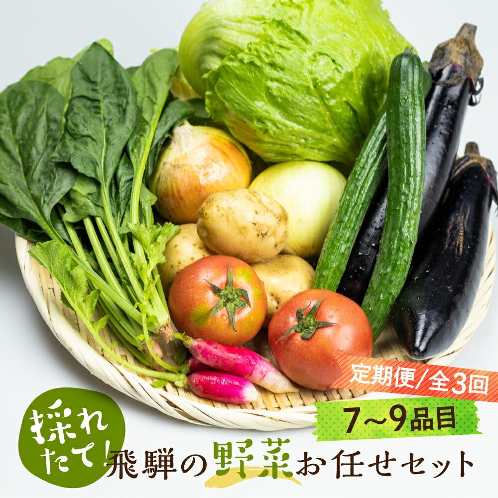 【ふるさと納税】 《定期便》3ヶ月 飛騨の野菜 7～9点 野菜セット 3回 お届け 飛騨高山産 野菜 秋野菜 おまかせ お取り寄せ 産地直送 飛騨産 夏 秋 サラダ GN101画像