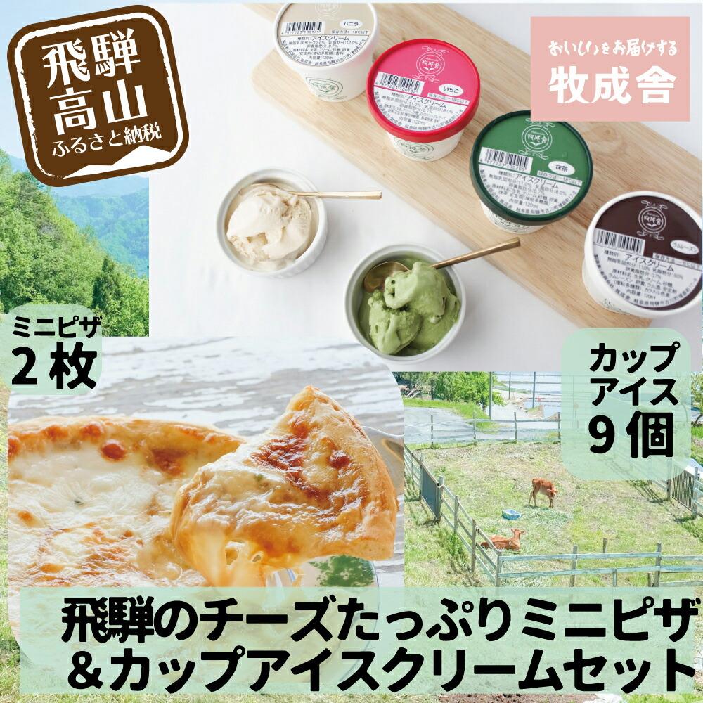 【ふるさと納税】<牧成舎>飛騨の牛乳屋が作る 自家製チーズたっぷりのピザ&こだわりのカップアイスクリームセット DF028|岐阜県高山市