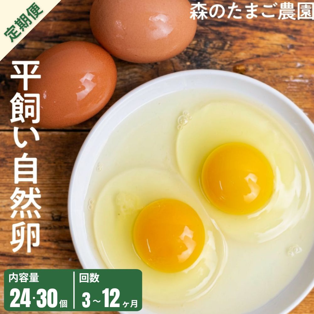 【ふるさと納税】定期便 たまご 卵 自然卵 24個 30個 3ヶ月 6ヶ月 12ヶ月 平飼い お取り寄せ 新鮮 ニワトリ 玉子 人気 おすすめ 岐阜 高山 送料無料 LW100｜岐阜県高山市