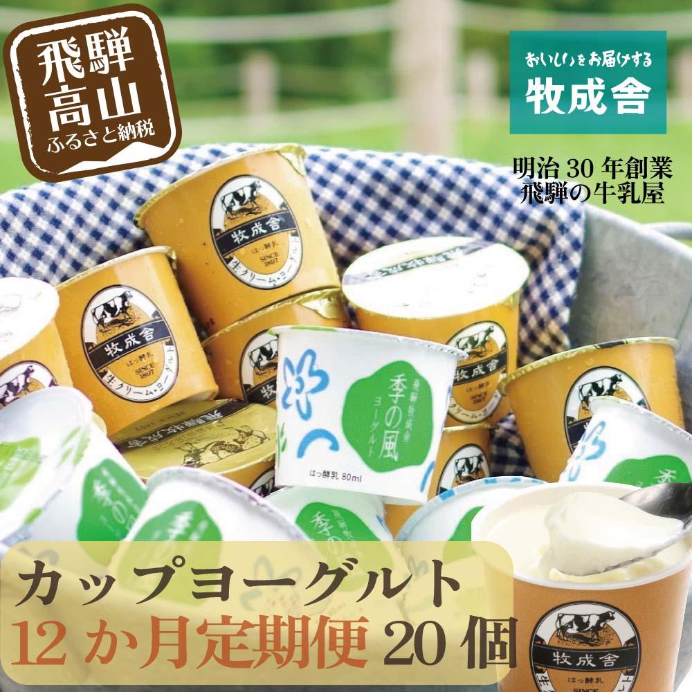 【ふるさと納税】【定期便１２か月】飛騨のカップヨーグルト20個セット　1年定期 2種類 セット 各10個 ヨーグルト 乳製品 乳酸菌 腸活 定期便 毎月届く 季の風ヨーグルト （さっぱり爽やか） 生クリームヨーグルト （濃厚） 食べ比べ 牧成舎 DF110 お楽しみ