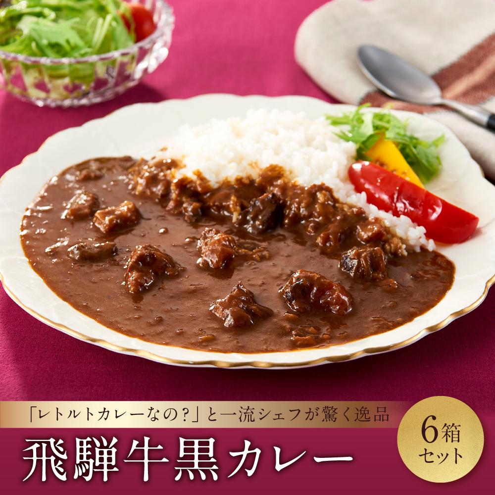 【ふるさと納税】喜八郎謹製 リッチなコクの飛騨牛黒カレー（230g×6箱）| 焙煎スパイス薫る レトルト カレー 黒カレー 飛騨牛 スパイス 食品 山一商事 EN003