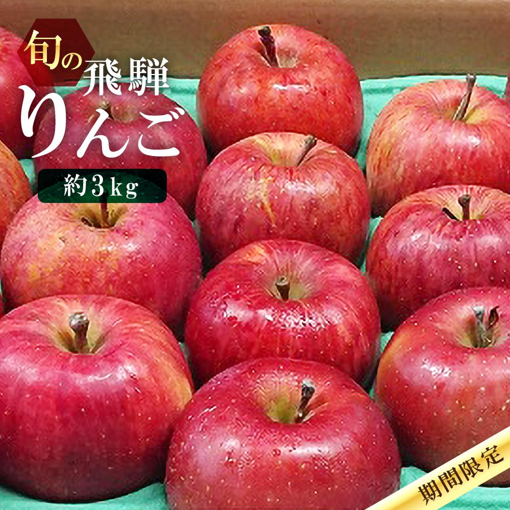 【ふるさと納税】【先行予約】飛騨高山産 山本果樹園 旬の飛騨りんご 約3kｇ(8個～11個）| 9月中旬～ 順次発送 りんご 果物 フルーツ おいしい 大容量 飛騨高山 山本果樹園 MA002