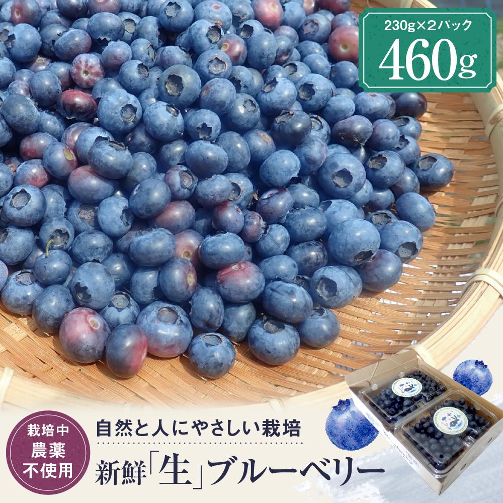 【ふるさと納税】【先行受付】治助ファームの北部ハイブッシュブルーベリー「生果実」230g×2パック （栽培中農薬不使用）| ブルーベリー 果物 果実 完熟 フルーツ 飛騨高山 治助ファーム LJ001 | フルーツ 果物 くだもの 食品 人気 おすすめ 送料無料