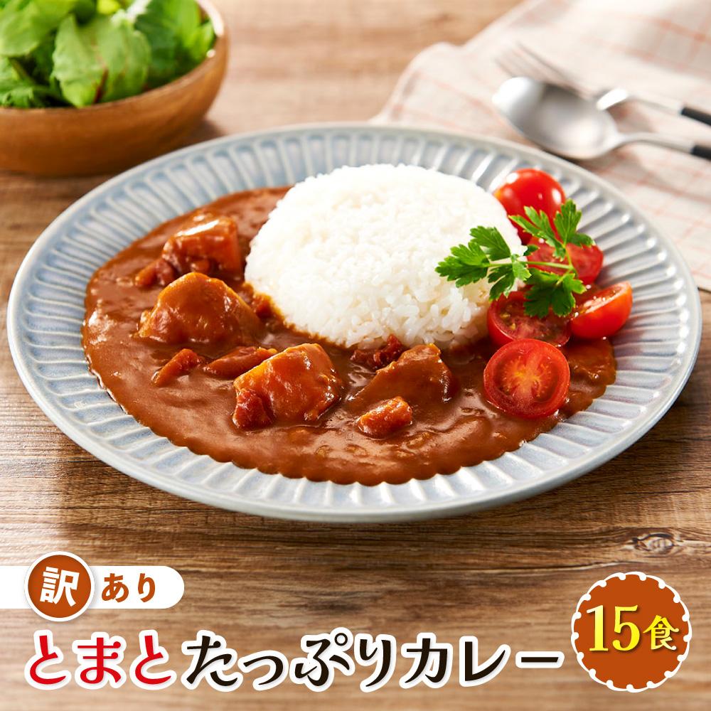 【ふるさと納税】訳あり とまとたっぷりカレー（160ｇ×15袋）| 野菜の旨味 簡易包装 トマト カレー 人気 野菜たっぷり 子供 おいしい ふるさと清見21 DC022 | 食品 加工食品 人気 おすすめ 送料無料