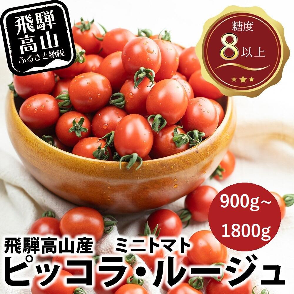 【ふるさと納税】【先行予約】濃厚ミニトマト ピッコラ・ルージュ 900g～1800g | 減農薬栽培 フルーツトマト ミニトマト トマト 甘い 農家直送 産地直送 肉厚 糖度 高冷地  野菜 減農薬 飛騨高山 新葉ファーム FV008MP